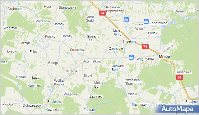 mapa Borki gmina Mniów, Borki gmina Mniów na mapie Targeo