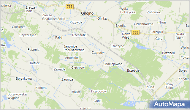 mapa Janowice Raczyckie, Janowice Raczyckie na mapie Targeo