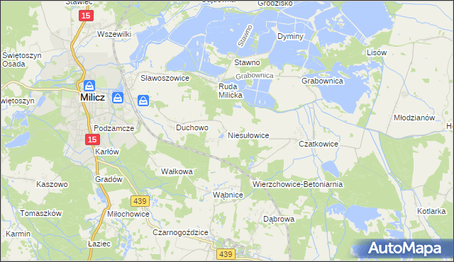 mapa Niesułowice gmina Milicz, Niesułowice gmina Milicz na mapie Targeo