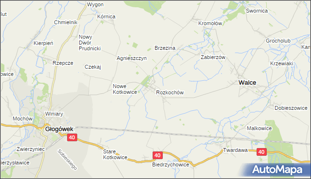 mapa Rozkochów gmina Walce, Rozkochów gmina Walce na mapie Targeo