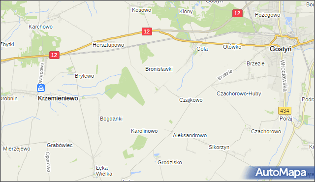 mapa Witoldowo gmina Gostyń, Witoldowo gmina Gostyń na mapie Targeo