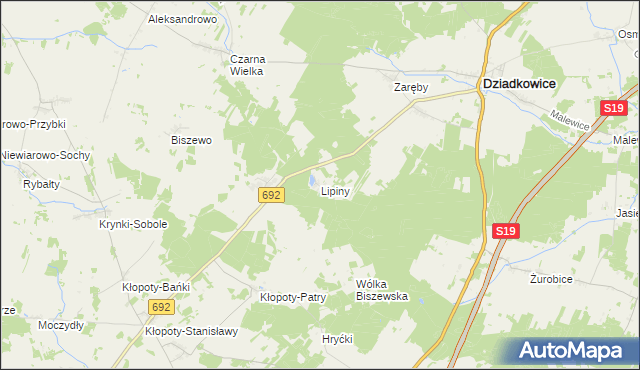 mapa Lipiny gmina Dziadkowice, Lipiny gmina Dziadkowice na mapie Targeo