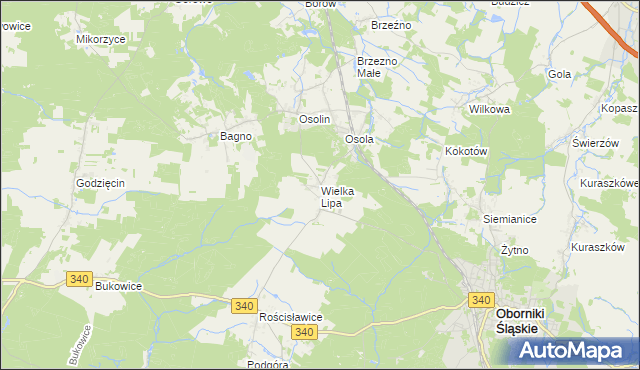 mapa Wielka Lipa, Wielka Lipa na mapie Targeo