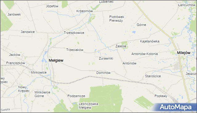 mapa Żurawniki gmina Mełgiew, Żurawniki gmina Mełgiew na mapie Targeo