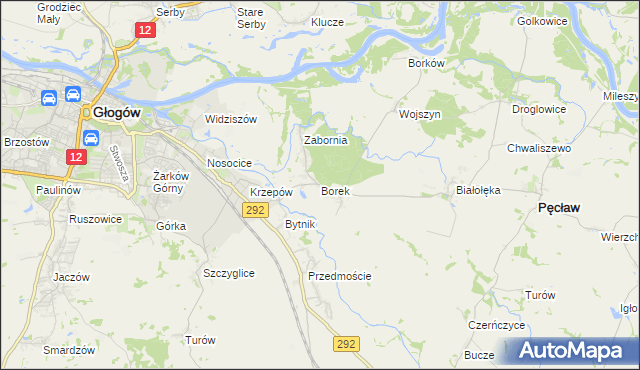 mapa Borek gmina Głogów, Borek gmina Głogów na mapie Targeo