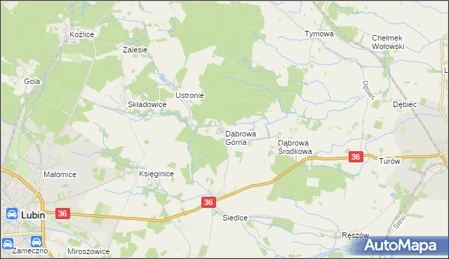 mapa Dąbrowa Górna gmina Lubin, Dąbrowa Górna gmina Lubin na mapie Targeo