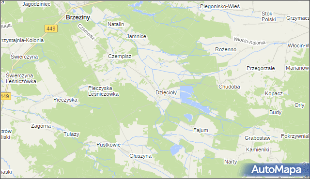 mapa Dzięcioły gmina Brzeziny, Dzięcioły gmina Brzeziny na mapie Targeo