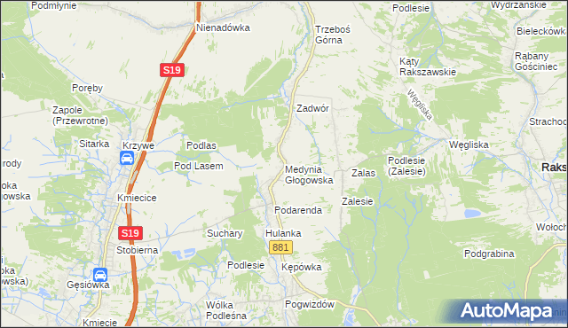 mapa Medynia Głogowska, Medynia Głogowska na mapie Targeo