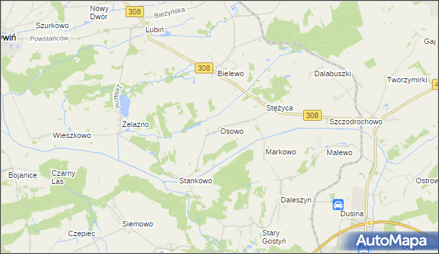 mapa Osowo gmina Gostyń, Osowo gmina Gostyń na mapie Targeo