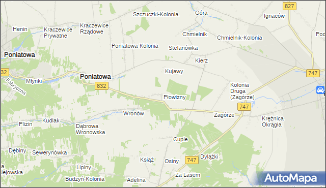 mapa Płowizny, Płowizny na mapie Targeo