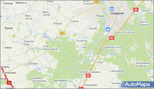 mapa Sałki gmina Gostynin, Sałki gmina Gostynin na mapie Targeo