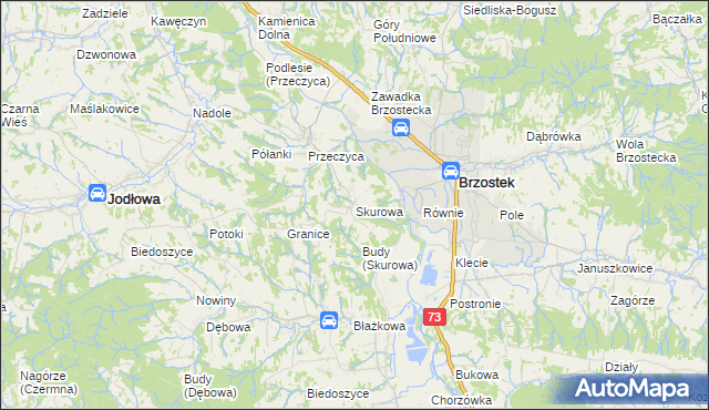 mapa Skurowa, Skurowa na mapie Targeo