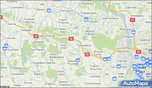 mapa Trzetrzewina, Trzetrzewina na mapie Targeo