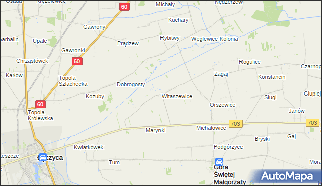 mapa Witaszewice, Witaszewice na mapie Targeo