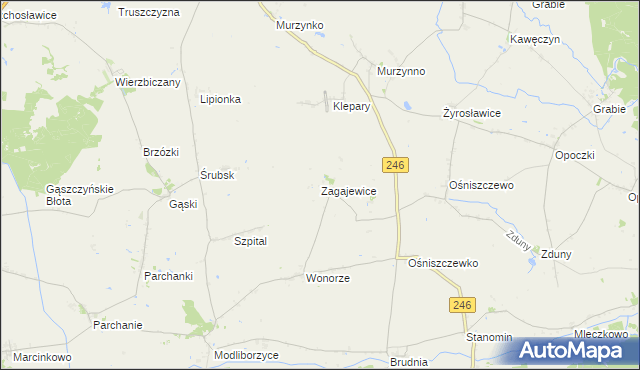 mapa Zagajewice gmina Dąbrowa Biskupia, Zagajewice gmina Dąbrowa Biskupia na mapie Targeo