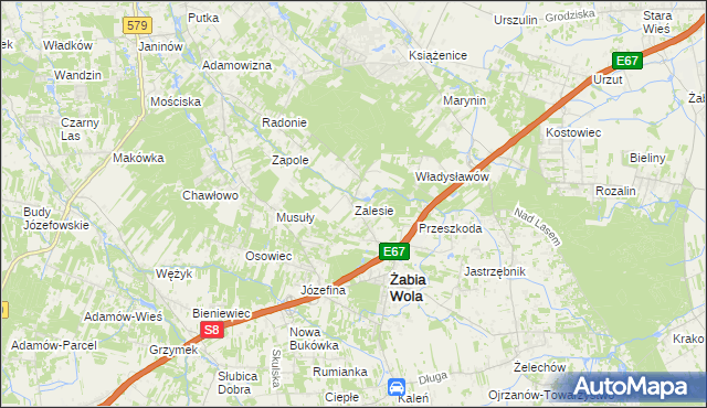 mapa Zalesie gmina Żabia Wola, Zalesie gmina Żabia Wola na mapie Targeo