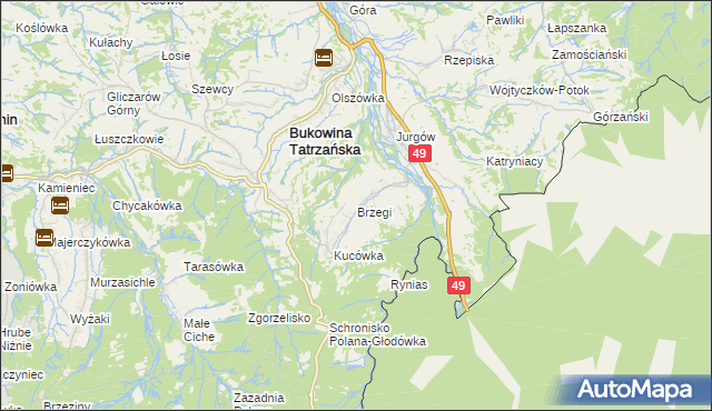 mapa Brzegi gmina Bukowina Tatrzańska, Brzegi gmina Bukowina Tatrzańska na mapie Targeo