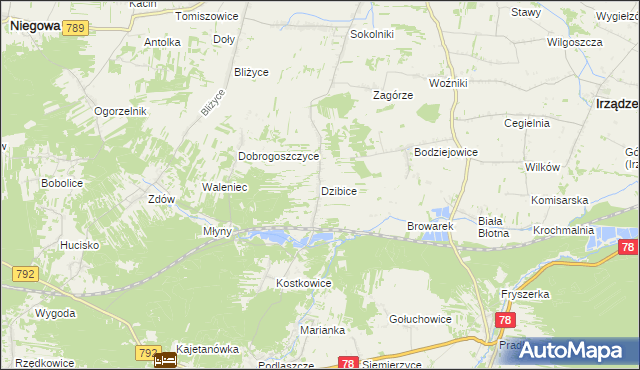 mapa Dzibice, Dzibice na mapie Targeo