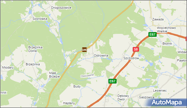 mapa Ostrowina, Ostrowina na mapie Targeo