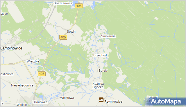 mapa Przechód gmina Korfantów, Przechód gmina Korfantów na mapie Targeo