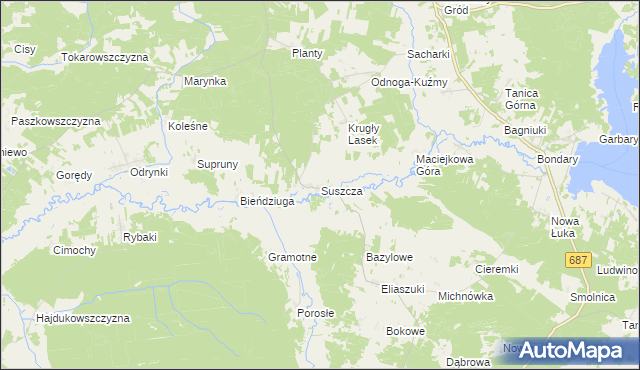 mapa Suszcza, Suszcza na mapie Targeo