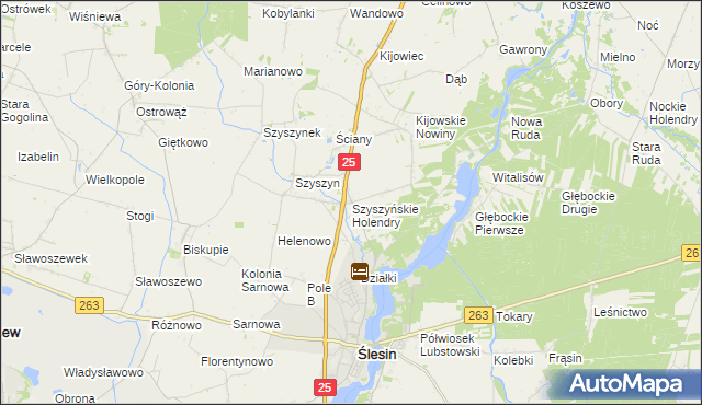 mapa Szyszyńskie Holendry, Szyszyńskie Holendry na mapie Targeo