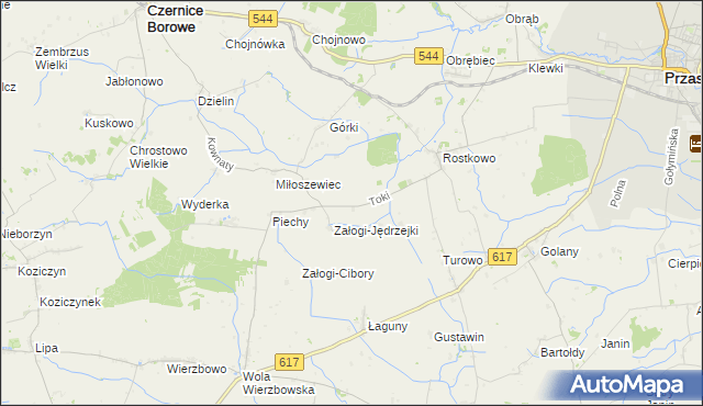 mapa Toki gmina Czernice Borowe, Toki gmina Czernice Borowe na mapie Targeo