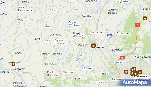 mapa Adamierz gmina Olesno, Adamierz gmina Olesno na mapie Targeo