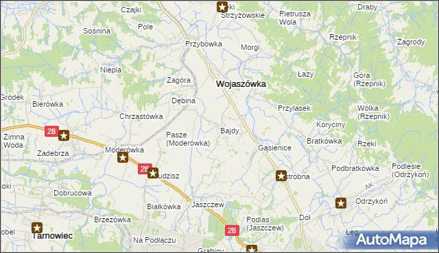 mapa Bajdy gmina Wojaszówka, Bajdy gmina Wojaszówka na mapie Targeo