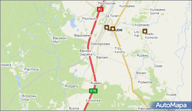 mapa Bąkowo gmina Warlubie, Bąkowo gmina Warlubie na mapie Targeo