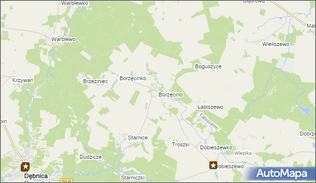 mapa Borzęcino gmina Dębnica Kaszubska, Borzęcino gmina Dębnica Kaszubska na mapie Targeo