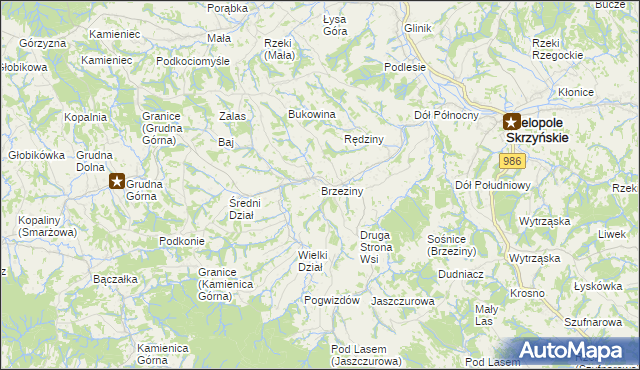 mapa Brzeziny gmina Wielopole Skrzyńskie, Brzeziny gmina Wielopole Skrzyńskie na mapie Targeo