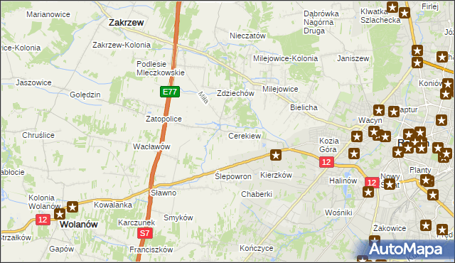 mapa Cerekiew gmina Zakrzew, Cerekiew gmina Zakrzew na mapie Targeo