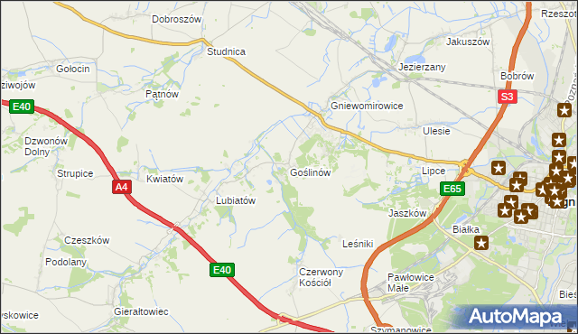 mapa Goślinów, Goślinów na mapie Targeo