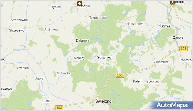 mapa Gostyniec, Gostyniec na mapie Targeo