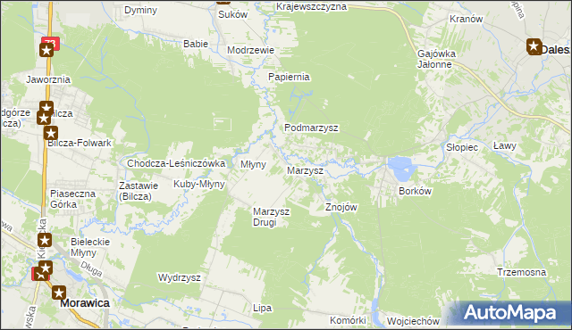 mapa Marzysz, Marzysz na mapie Targeo