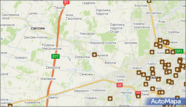 mapa Milejowice gmina Zakrzew, Milejowice gmina Zakrzew na mapie Targeo