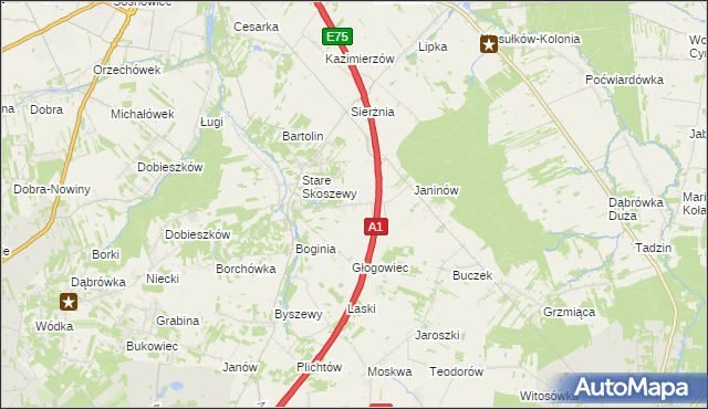 mapa Nowe Skoszewy, Nowe Skoszewy na mapie Targeo