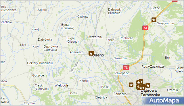 mapa Olesno powiat dąbrowski, Olesno powiat dąbrowski na mapie Targeo