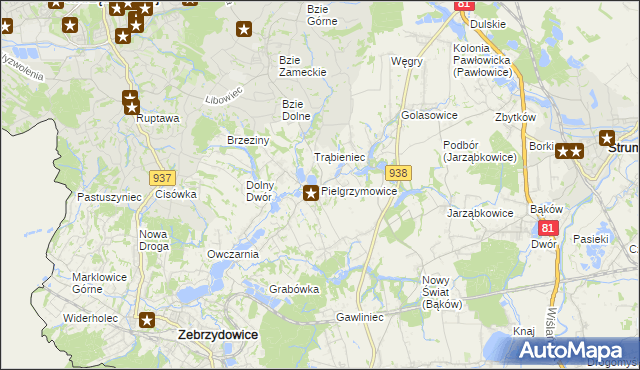 mapa Pielgrzymowice gmina Pawłowice, Pielgrzymowice gmina Pawłowice na mapie Targeo