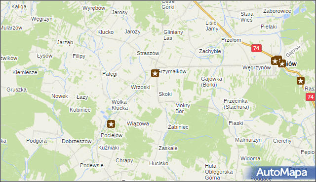 mapa Skoki gmina Mniów, Skoki gmina Mniów na mapie Targeo