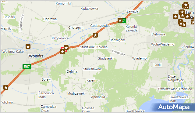 mapa Studzianki gmina Wolbórz, Studzianki gmina Wolbórz na mapie Targeo