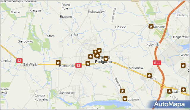 mapa Tarnowo Podgórne, Tarnowo Podgórne na mapie Targeo