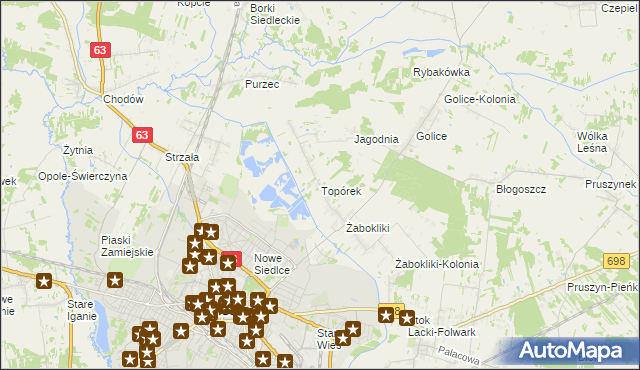 mapa Topórek, Topórek na mapie Targeo