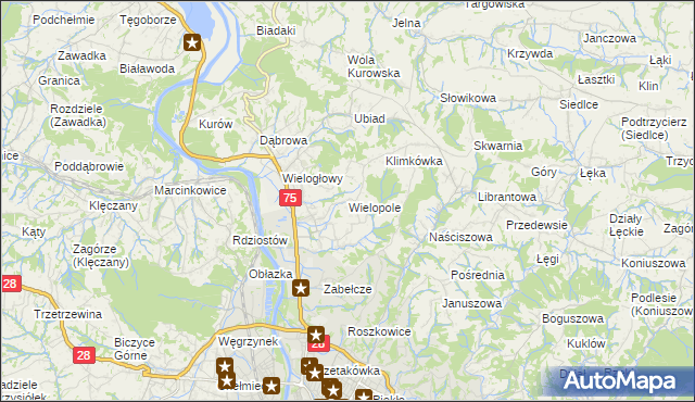 mapa Wielopole gmina Chełmiec, Wielopole gmina Chełmiec na mapie Targeo