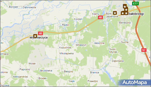 mapa Witaszyn, Witaszyn na mapie Targeo