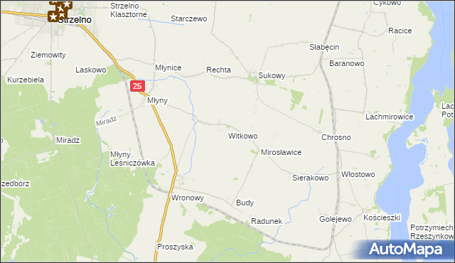 mapa Witkowo gmina Strzelno, Witkowo gmina Strzelno na mapie Targeo