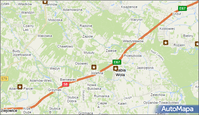 mapa Wycinki Osowskie, Wycinki Osowskie na mapie Targeo