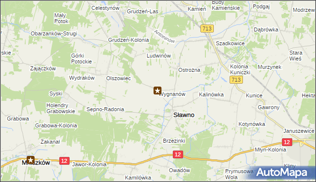 mapa Wygnanów gmina Sławno, Wygnanów gmina Sławno na mapie Targeo