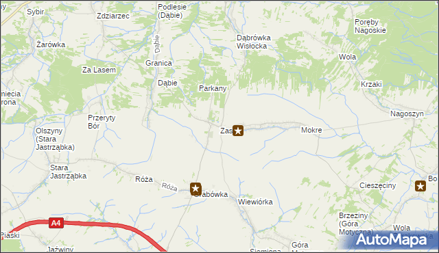 mapa Zasów, Zasów na mapie Targeo